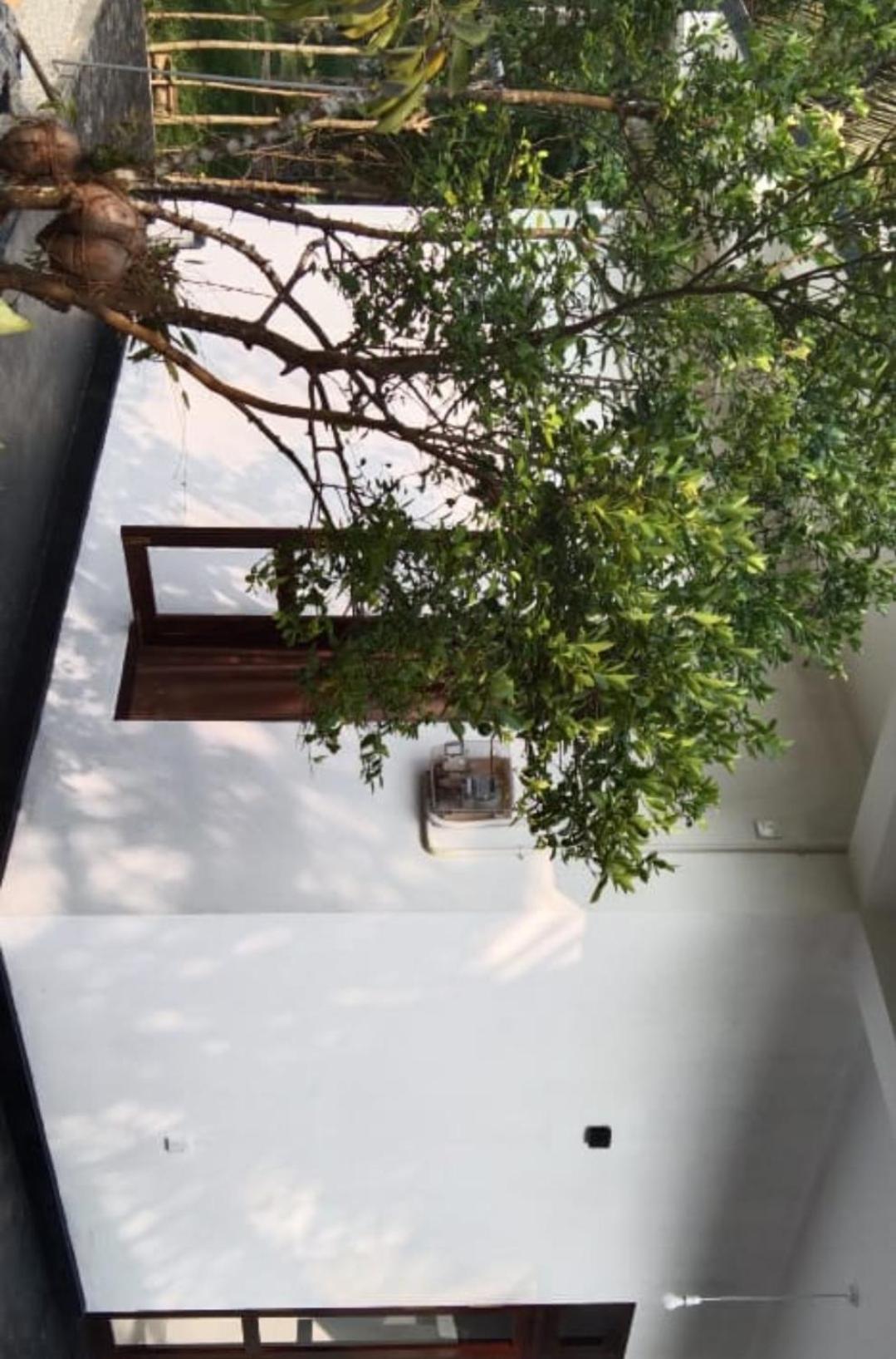 Villa Elegant - Weligama Exterior photo